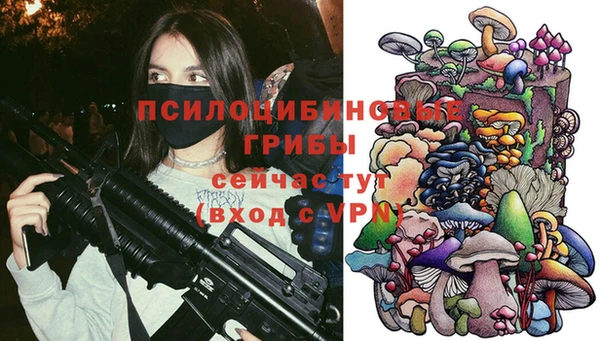 прущая мука Новозыбков