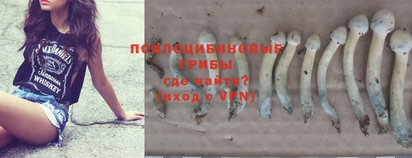 молекула духа Сосновый Бор