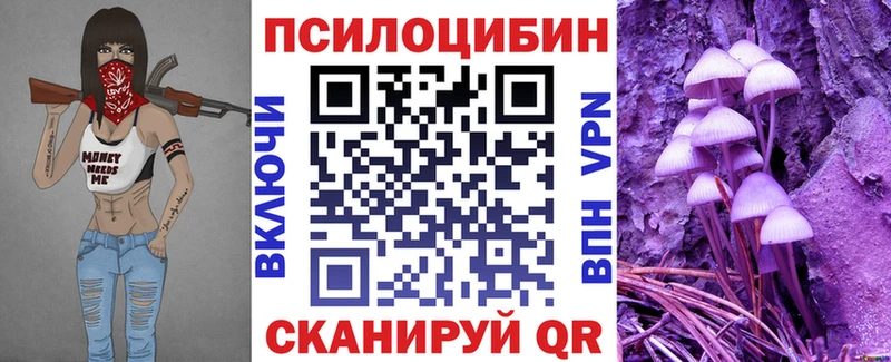 гидра зеркало  Братск  Галлюциногенные грибы MAGIC MUSHROOMS 