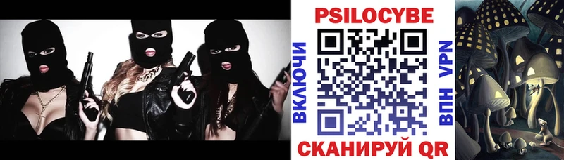 Псилоцибиновые грибы Psilocybine cubensis Братск