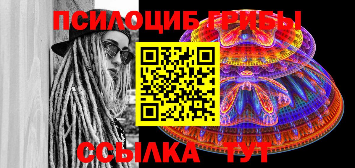 Псилоцибиновые грибы Psilocybine cubensis  Братск  Галлюциногенные грибы Cubensis 