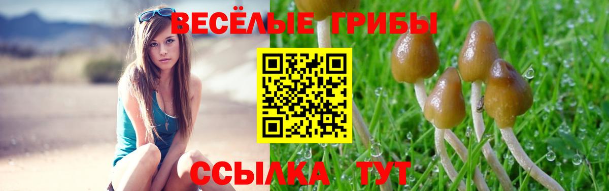 Псилоцибиновые грибы прущие грибы Братск